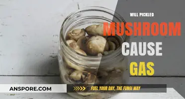 Pickled Mushrooms: Gas and Bloating?