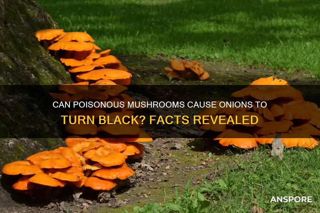 will poison mushrooms turn onions hlack