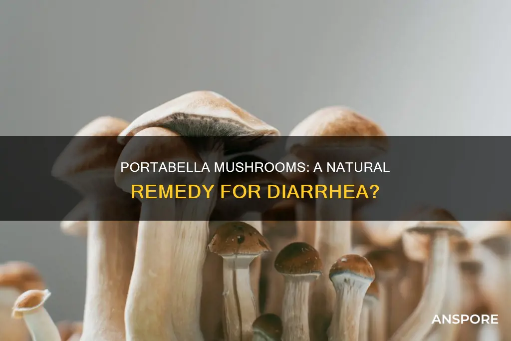 will portabella mushrooms help diarrhea