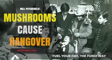 Psychedelic Mushrooms: Hangover Effects and Prevention