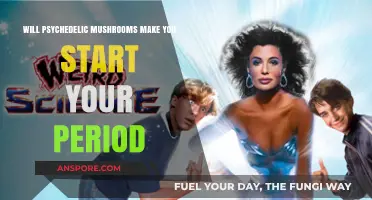 Psychedelic Mushrooms and Menstruation: Unraveling the Myth and Reality