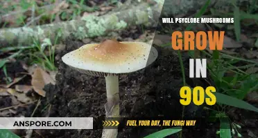 Can Psilocybin Mushrooms Thrive in 90s Environmental Conditions?