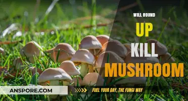 How Roundup Destroys Mushrooms and Other Fungi