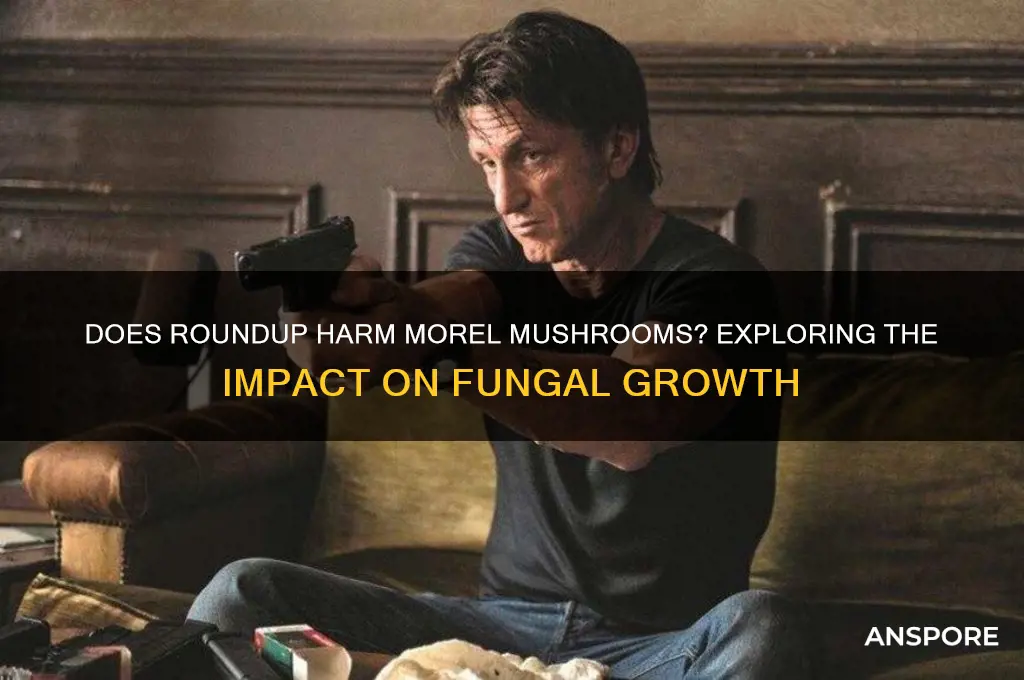 will roundup kill morel mushrooms