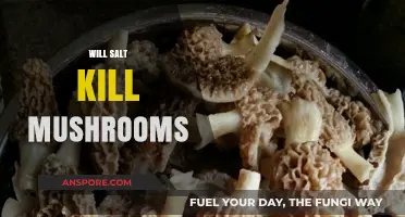 Salt's Effect: Can It Kill Mushrooms?