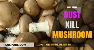 How Sevin Dust Kills Mushrooms