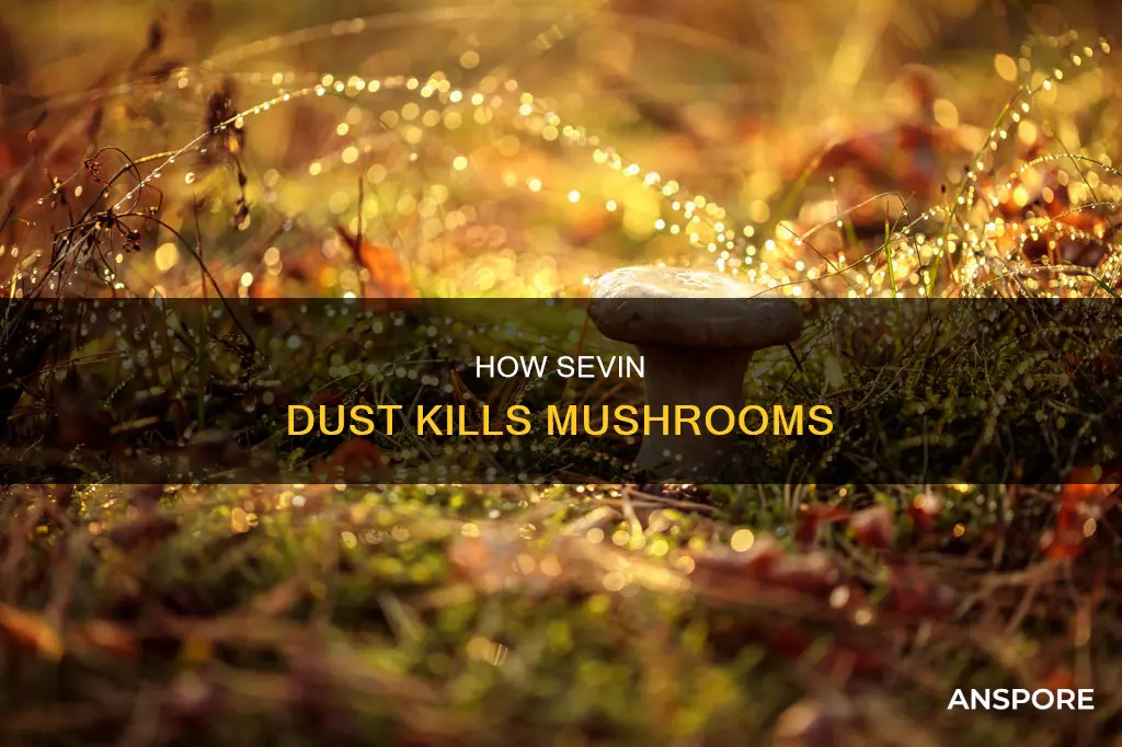 will sevin dust kill mushrooms