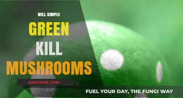 Simple Green: Mushroom Killer or Not?