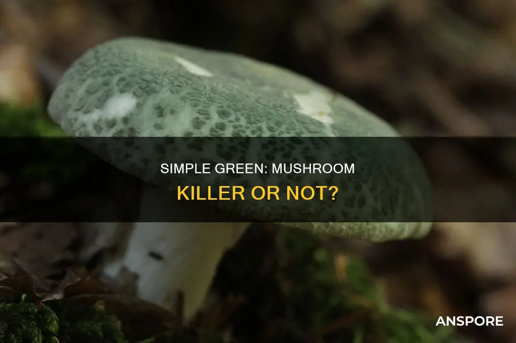 will simple green kill mushrooms
