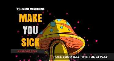 Slimy Mushrooms: Are They Safe to Eat or a Health Risk?