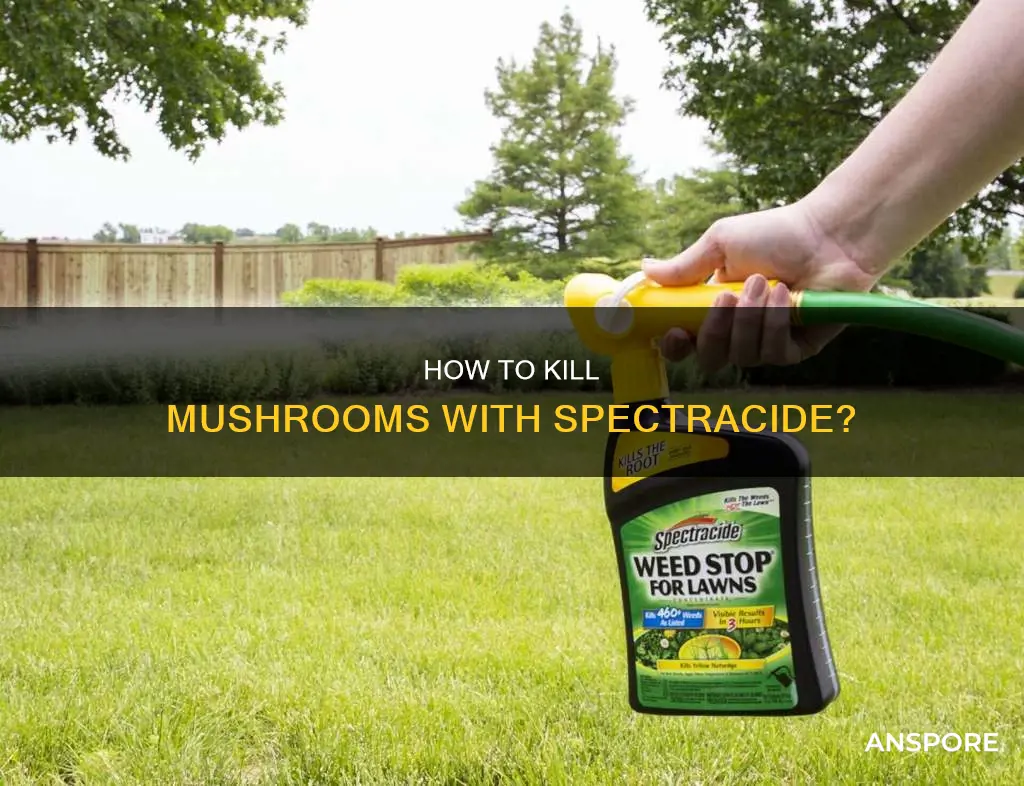 will spectracide kill mushrooms