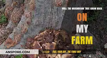 Can Mushroom Trees Regenerate on Your Farm? Growth Insights Revealed