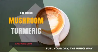 Vahdam's Mushroom Turmeric Blend: A Healthy Superfood