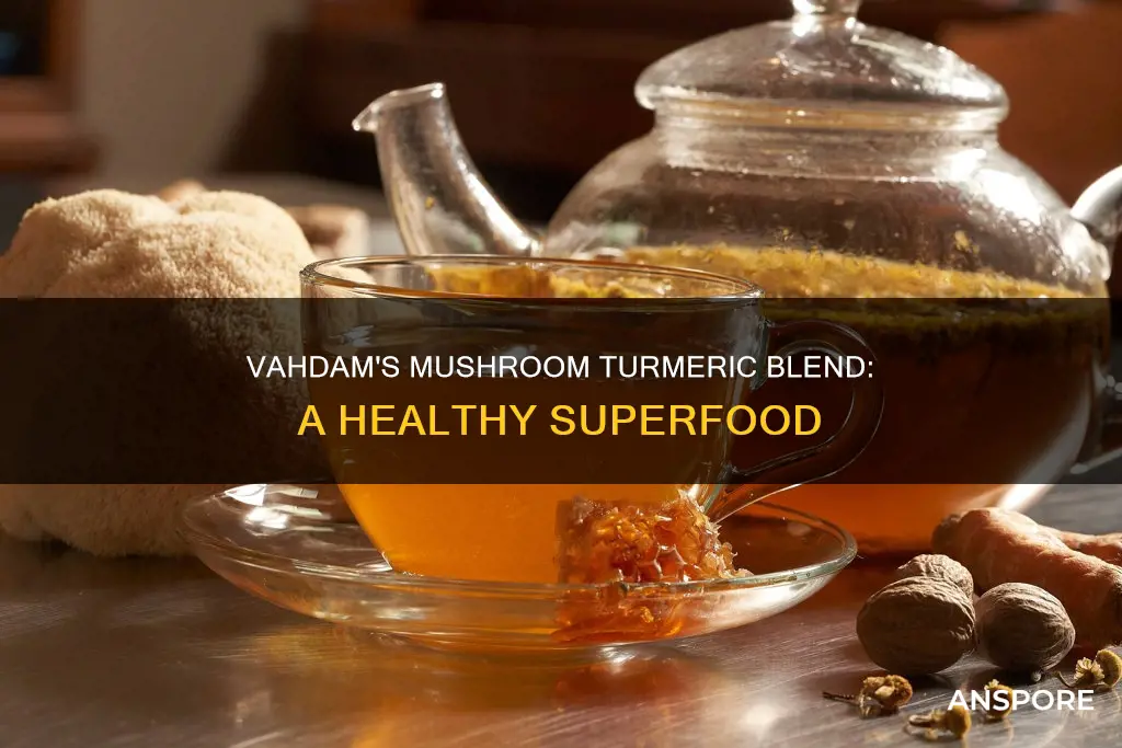 will vahdam mushroom turmeric