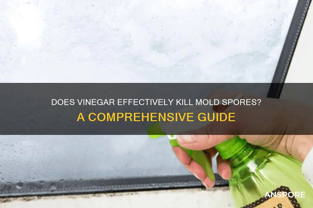 will vinegar kill mold spores
