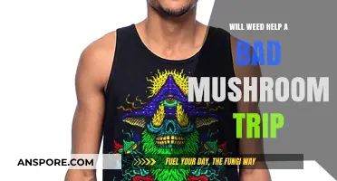 Can Cannabis Ease a Difficult Mushroom Trip? Exploring the Potential