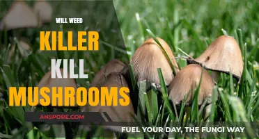 Weed Killer vs Mushrooms: What's the Verdict?
