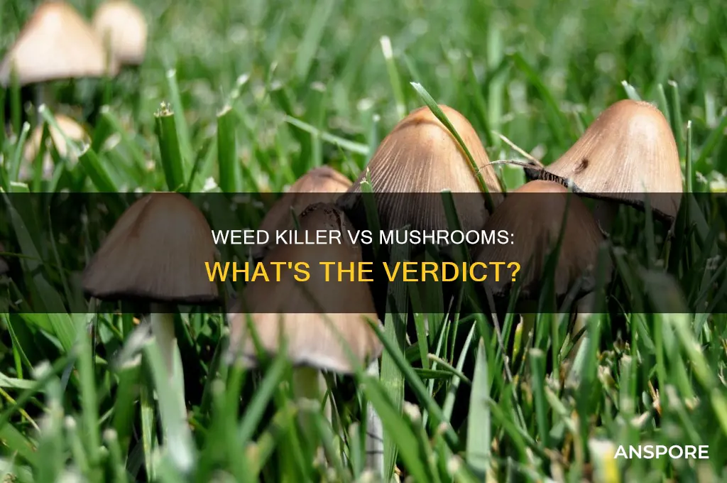 will weed killer kill mushrooms