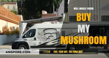 Will Whole Foods Purchase My Mushrooms? A Supplier's Guide