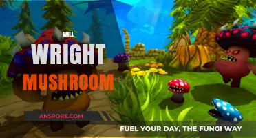 Mushroom-Inspired Creativity: Will Wright's Journey