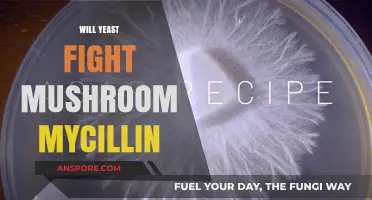 Yeast vs. Mushroom: Allies or Enemies?