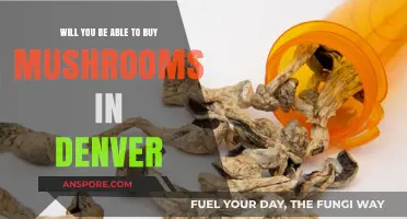 Denver's Mushroom Legalization: Can You Soon Buy Them Legally?