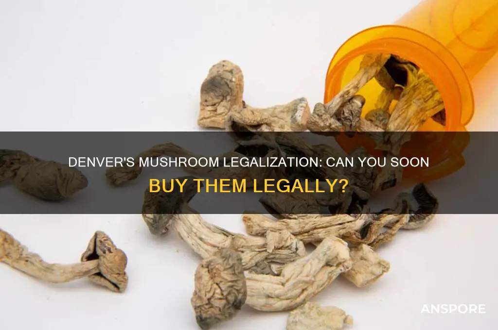 will you be able to buy mushrooms in denver