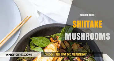 Grow Your Own: Basil and Shiitake Mushrooms