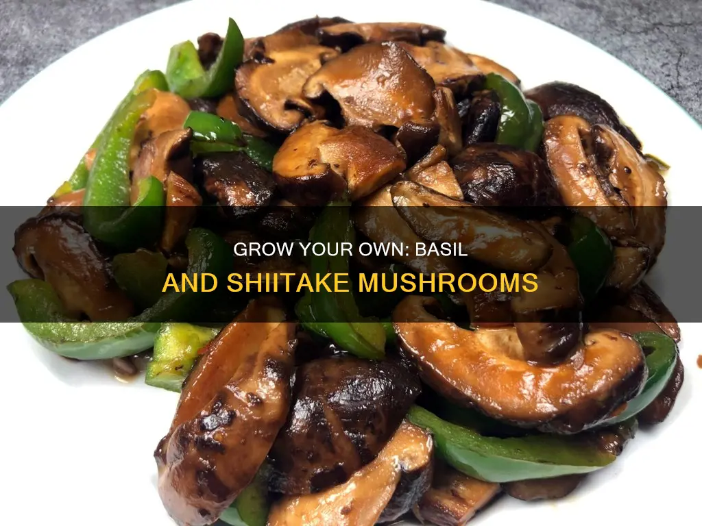 would basil shiitake mushrooms