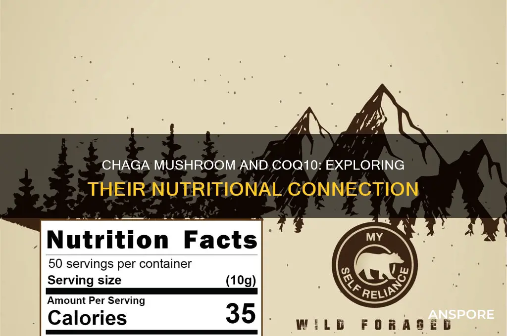 would i find co q 10 in chaga mushroom