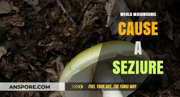 Mushrooms: Seizure Triggers or Safe Edibles?