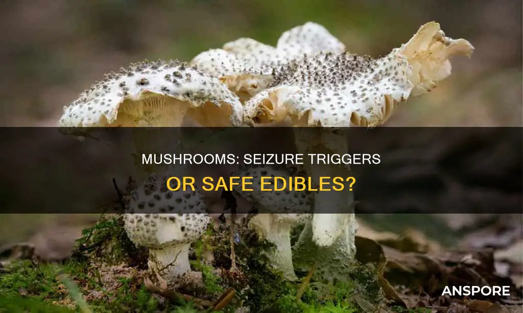 would mushrooms cause a seziure