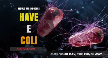 Mushrooms and E. coli: A Dangerous Mix?