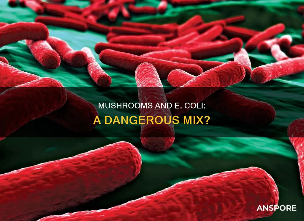 would mushrooms have e coli