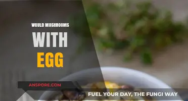 Mushroom-Egg Combo: A Perfect Protein-Packed Breakfast