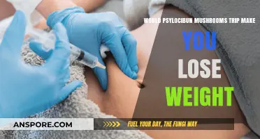 Can Psilocybin Mushrooms Aid Weight Loss? Exploring the Trip's Effects