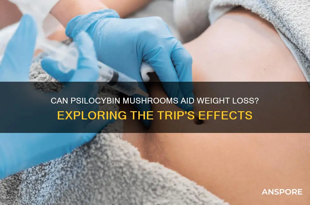 would psylocibun mushrooms trip make you lose weight