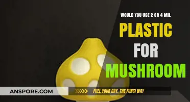 Choosing the Right Plastic Thickness for Mushroom Cultivation: 2 vs. 4 Mil